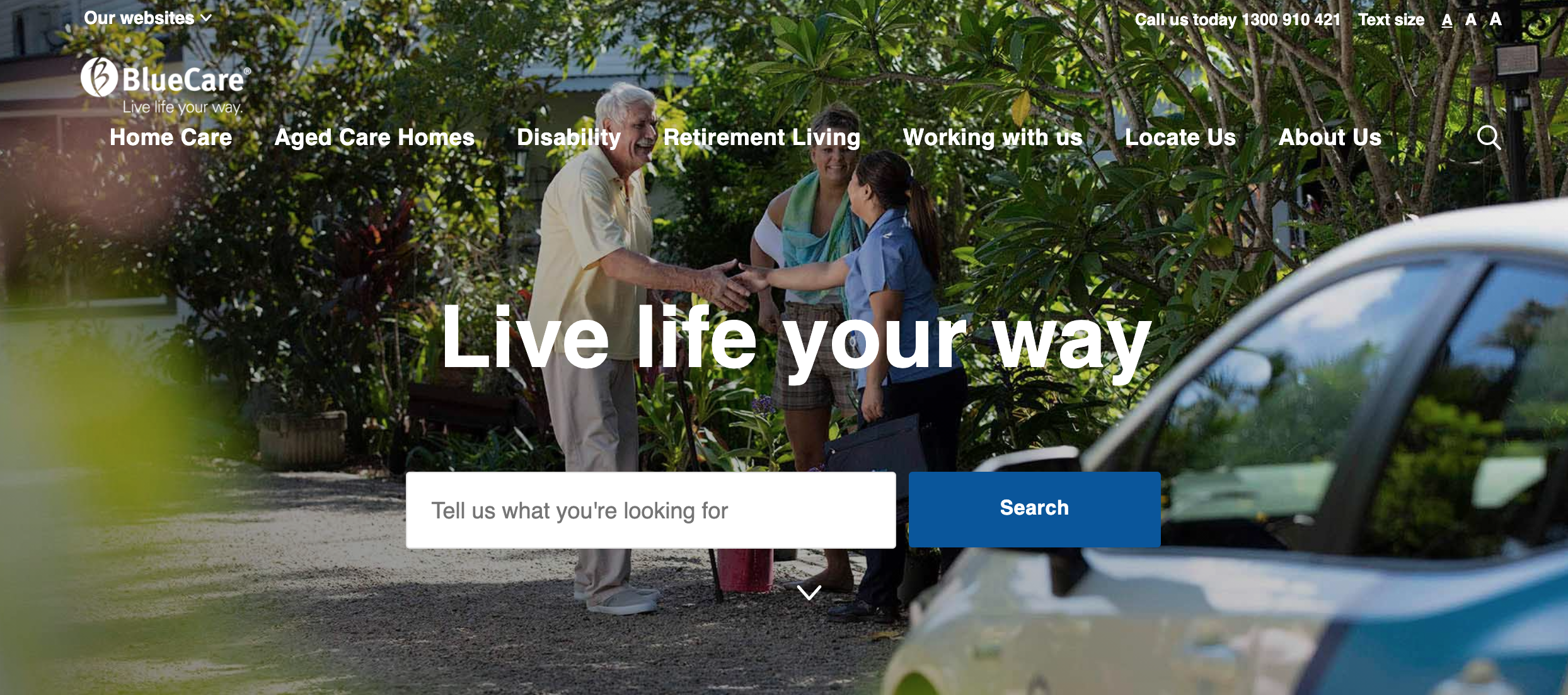 desktop view of bluecare website